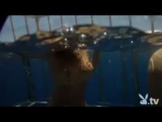 नग्न लड़कियों के एक शार्क पिंजरे में!