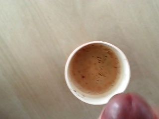 कॉफी सह